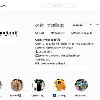 Instagram Orsini Group